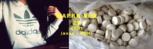 индика Алексеевка