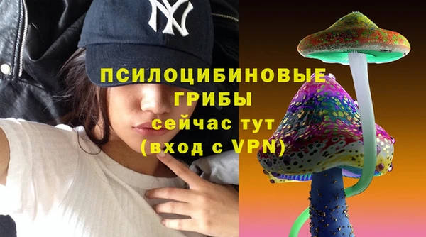индика Алексеевка