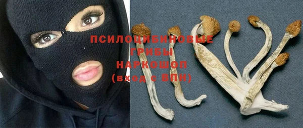 ALPHA PVP Алзамай